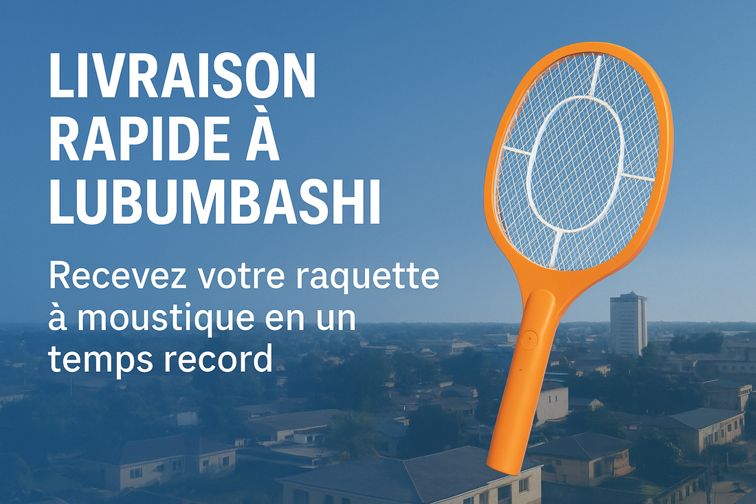 Livraison rapide à Lubumbashi : Recevez votre raquette à moustique en un temps record